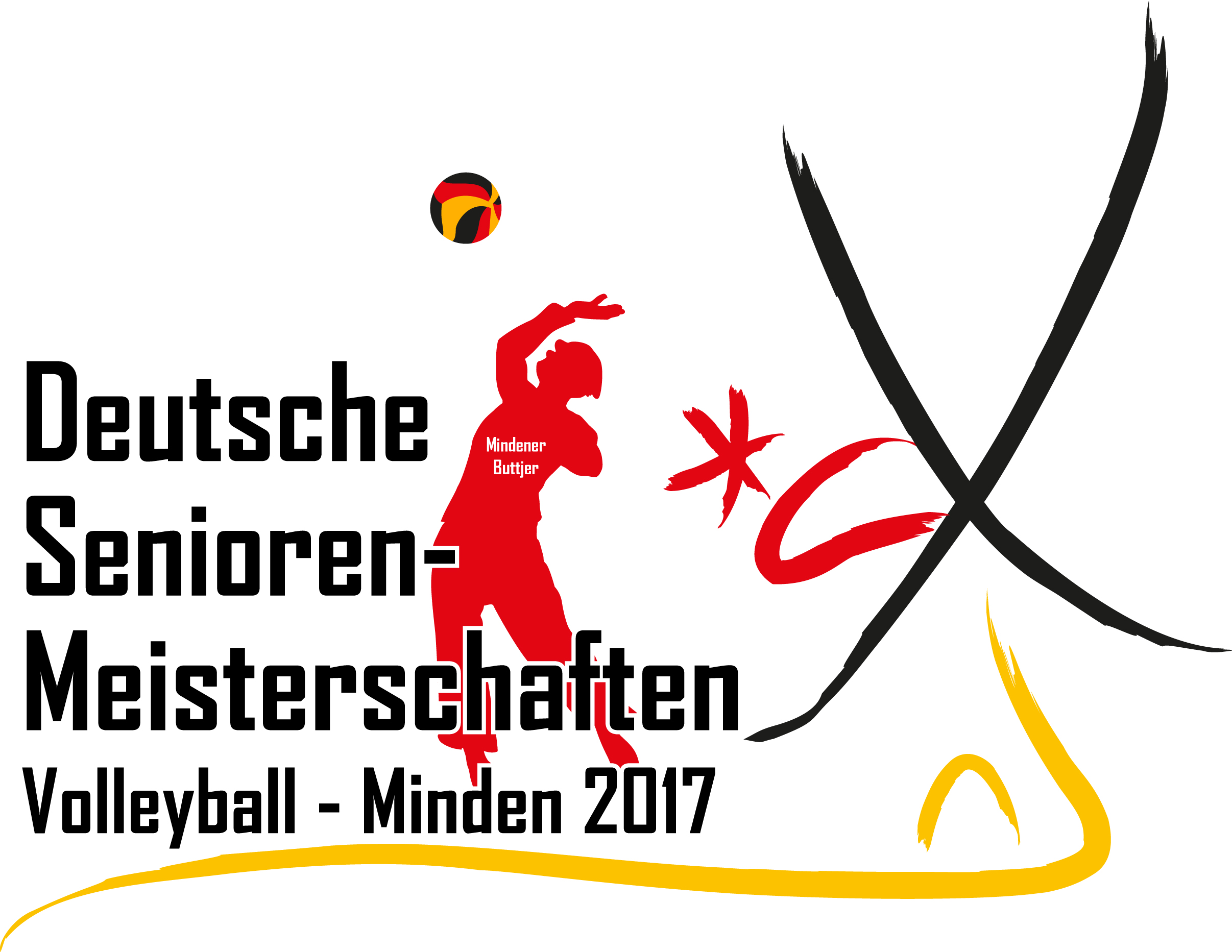 Logo DSM 2017 Endversion 1