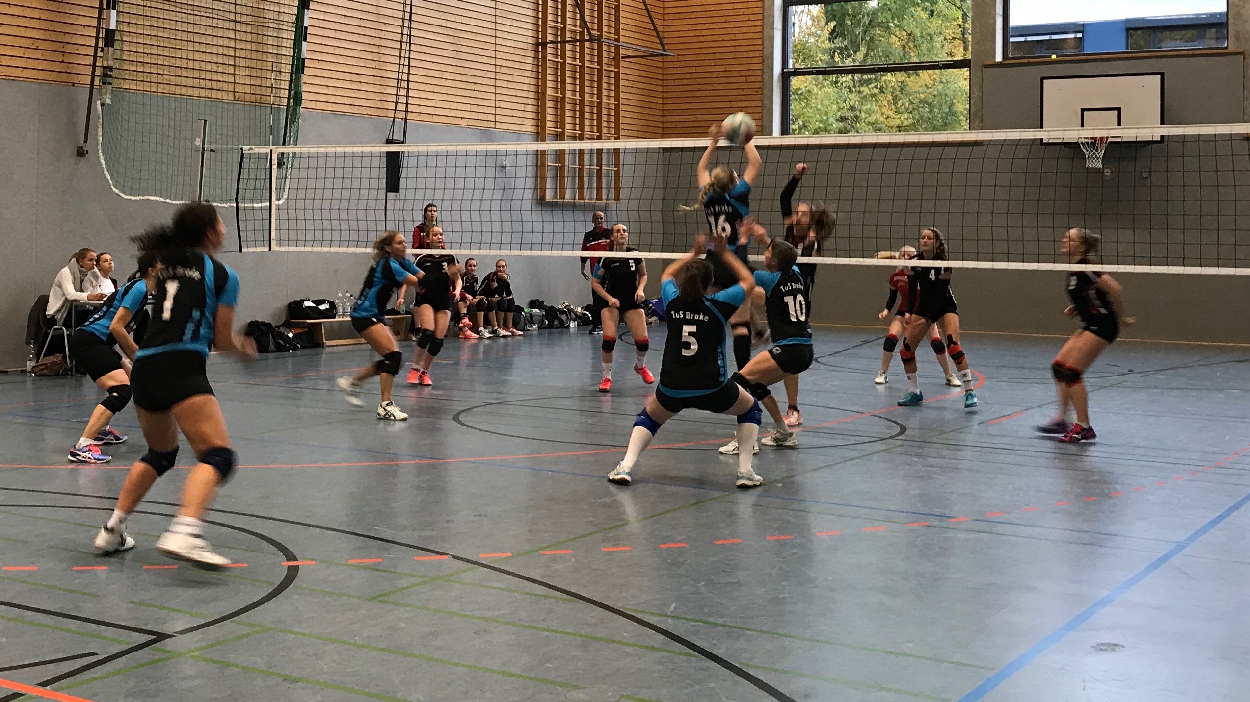 Damen 2 Spieltag 11.11. 3